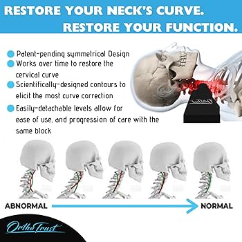 Amazon.com: Zenith Cervical Traction Orthotic Chiropractic Neck