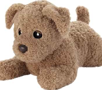 71G218uk9KL._AC_UF350,