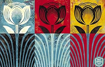 Amazon | Obey: The Art of Shepard Fairey | Fairey, Shepard