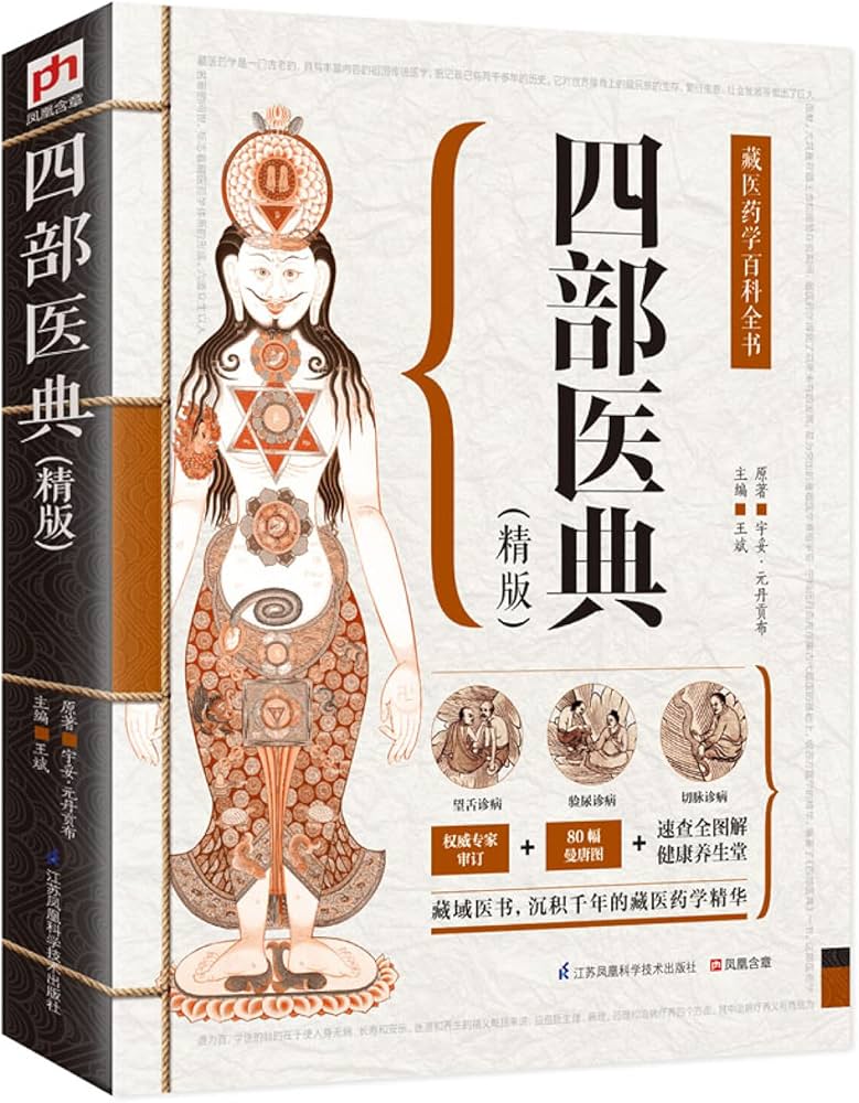 Amazon.com: 四部医典(精版): 9787553752686: 宇妥·元丹贡布王斌: Books