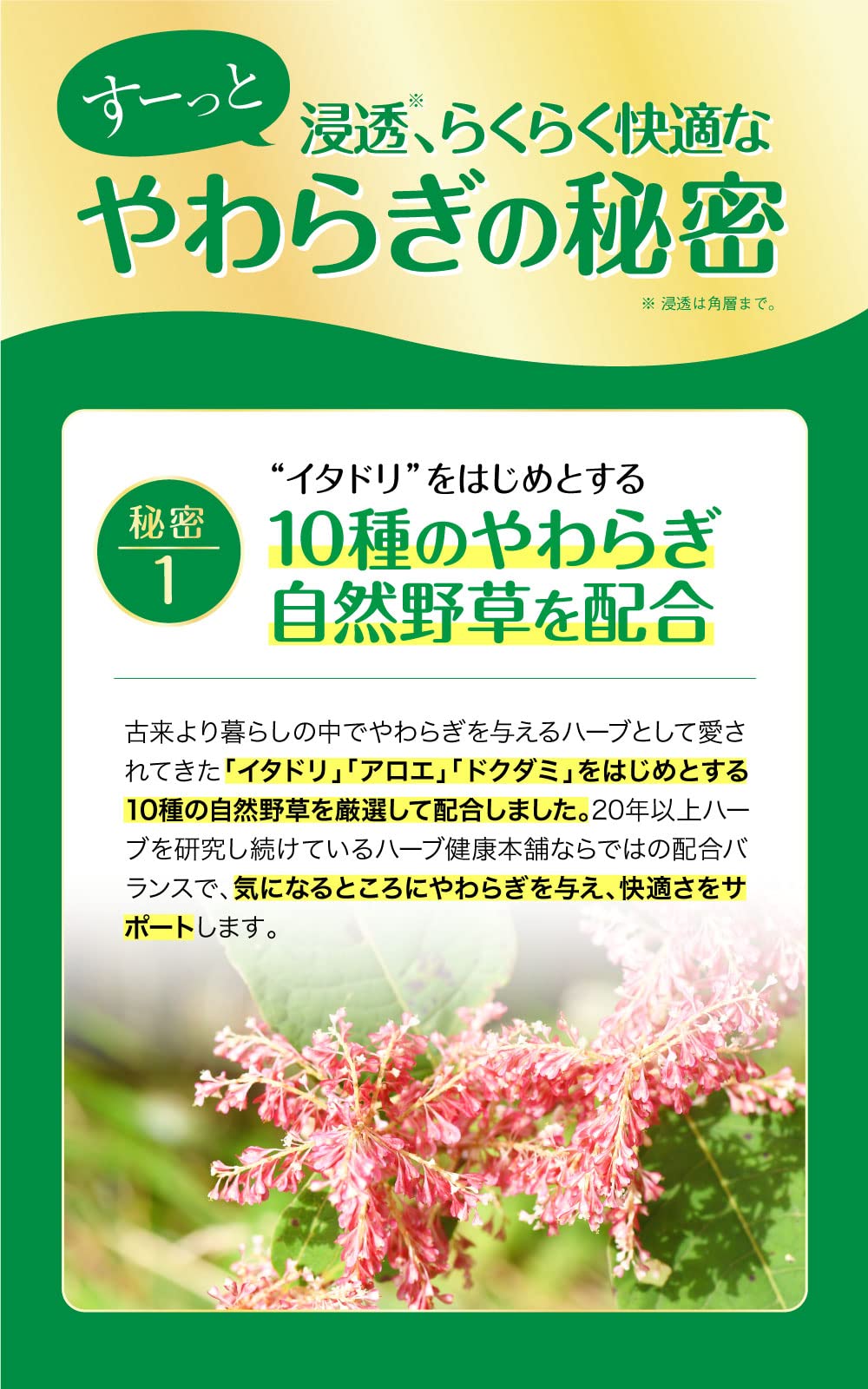 Amazon | ハーブ健康本舗 イタドルンS 50g ジェルクリーム