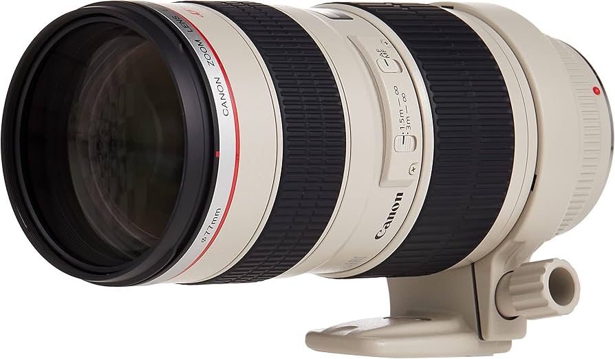 Canon EF 70-200mm f/2.8L USM Telephoto Zoom Lens for Canon SLR