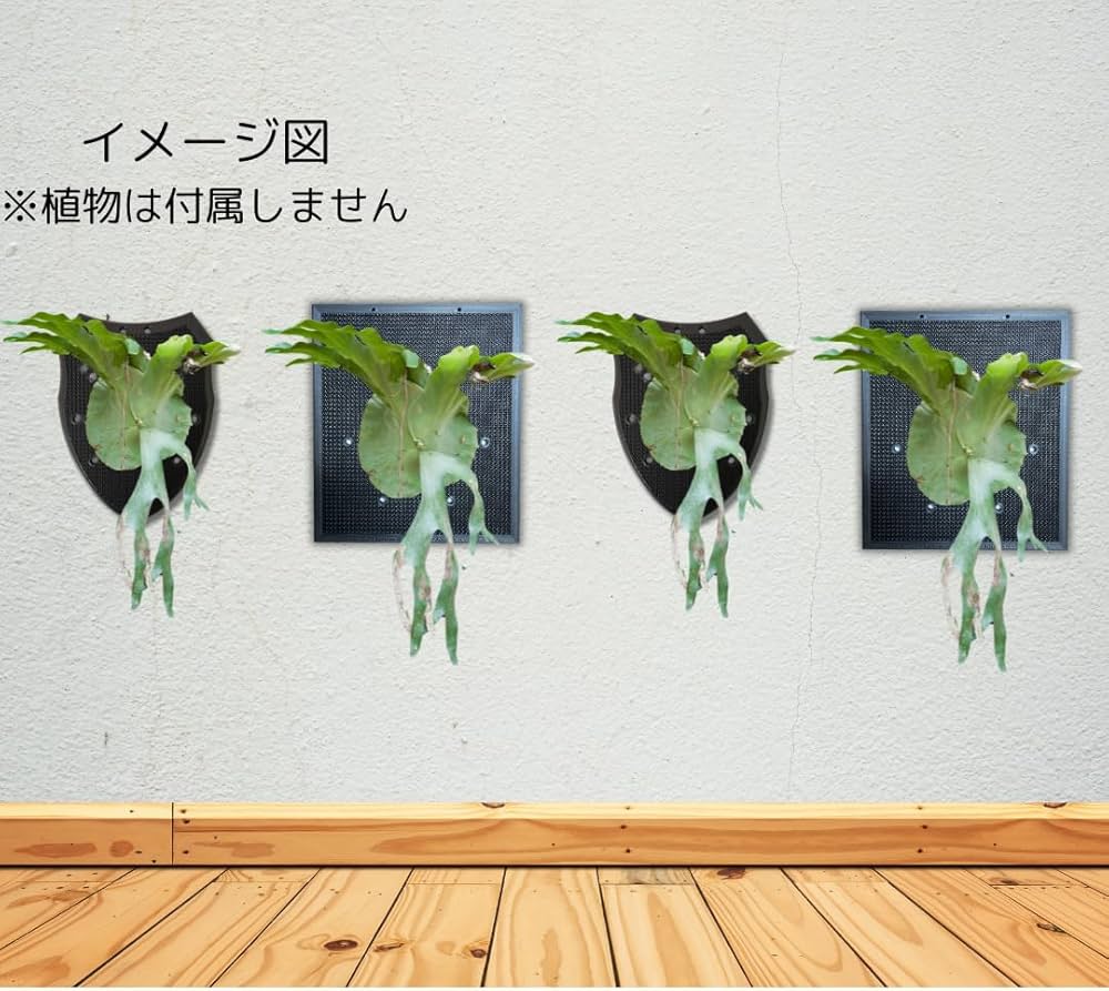 Amazon｜観葉植物着生用プレート シンプル形状 メッシュ構造 通気性