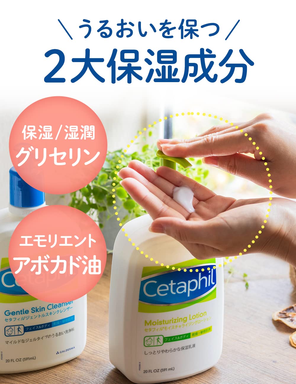 Amazon | セタフィル Cetaphil モイスチャライジングローション