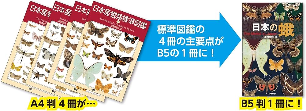 日本の蛾 岸田奈則 Gakken 学研 図鑑 日本の蛾 | 岸田泰則 |本 | 通販