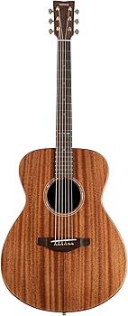 Amazon | ヤマハ YAMAHA アコースティックギター STORIA II | エレアコ