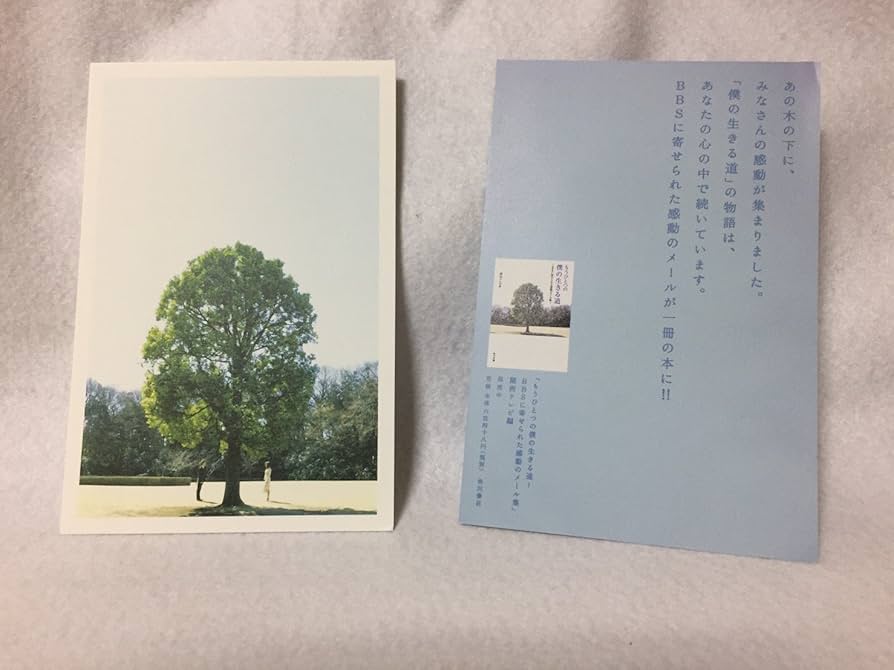 Amazon.co.jp: 僕の生きる道 DVD-BOX (デジパック仕様セット) : 草ナギ