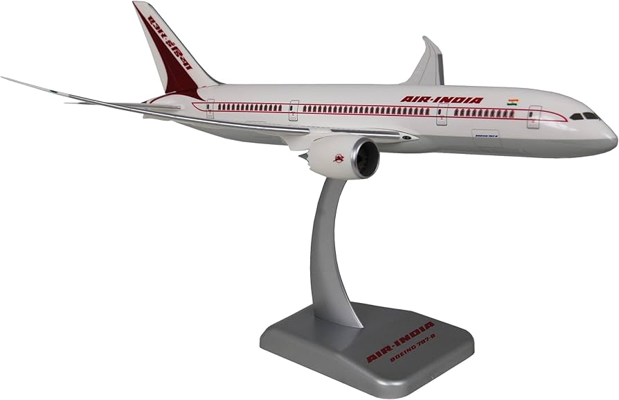 Amazon | ホーガン 1/200 B787-8 エア・インディア (3626GA) 完成品
