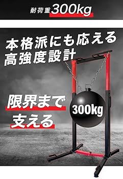 Amazon | BARWING(バーウィング) 折りたたみ ぶら下がり健康器 8段階