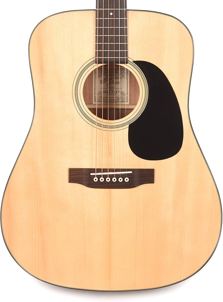 Amazon | レコーディングキング 6弦アコースティックギター 右