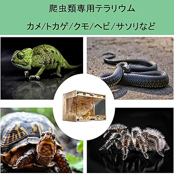 Amazon | Gwufiu 爬虫類ケージ 飼育 ケース 爬虫類 トカゲ 飼育セット