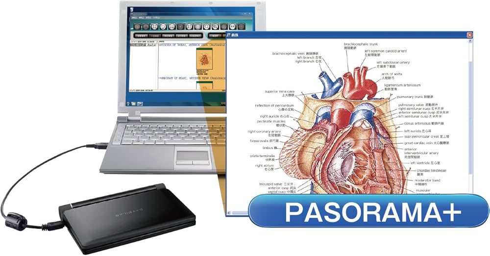 Amazon.co.jp: セイコーインスツル 電子辞書 DAYFILER 医学モデル DF