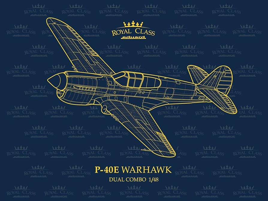 Amazon | エデュアルド 1/48 デュアルコンボ ロイヤルクラス P-40E