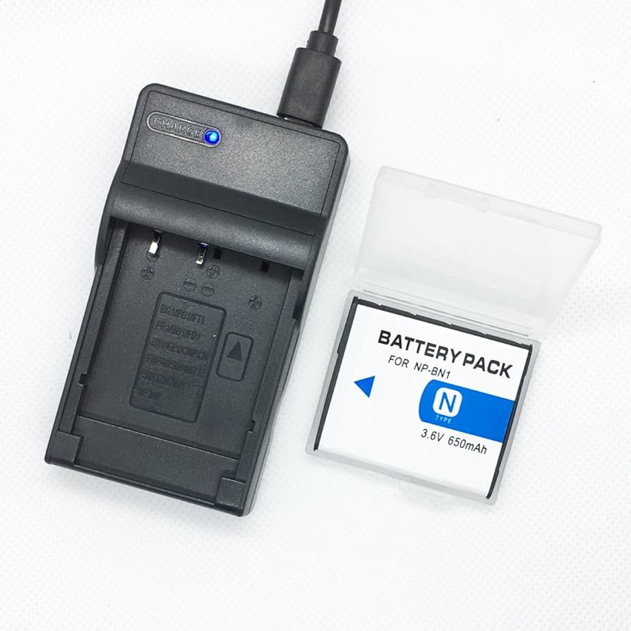 Amazon.com : Surpassed Battery Pack and USB Rapid Travel Charger