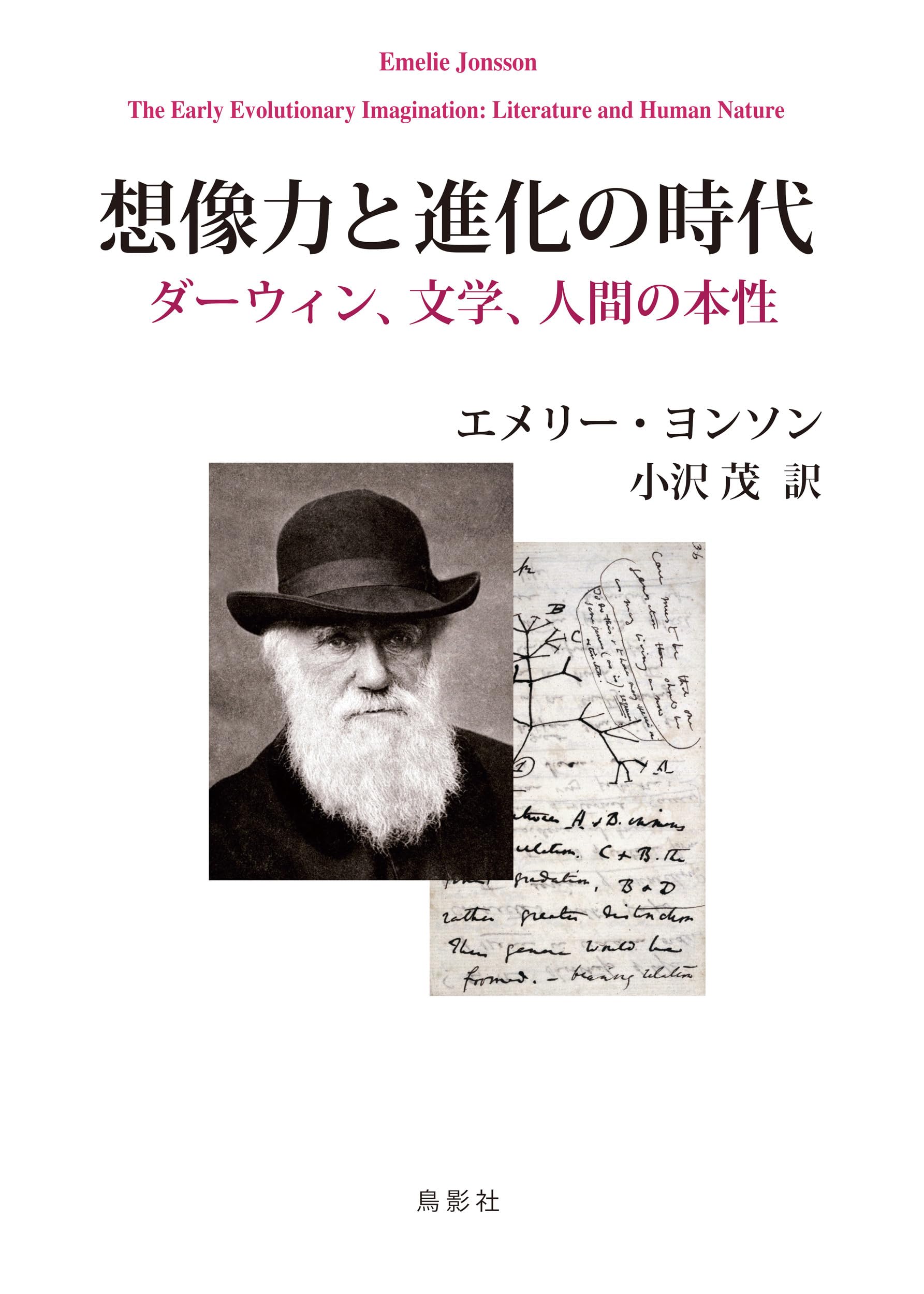想像力と進化の時代: ダーウィン、文学、人間の本性 | エメリー