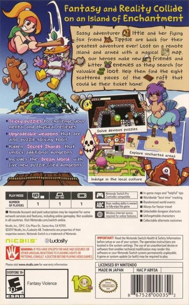 Amazon.com: Ittle Dew 2+ - Nintendo Switch : Video Games