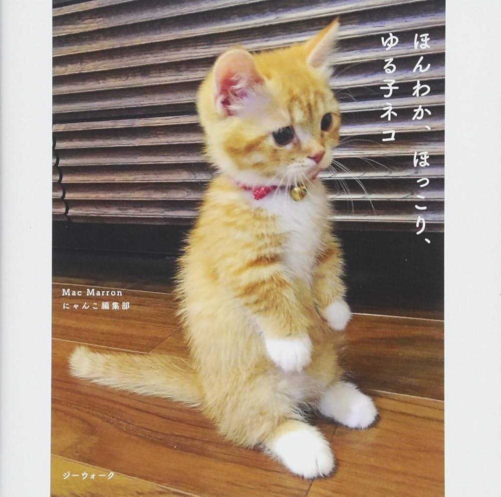 ほんわか、ほっこり、ゆる子ネコ (写真集) | Mac Marron, にゃんこ編集