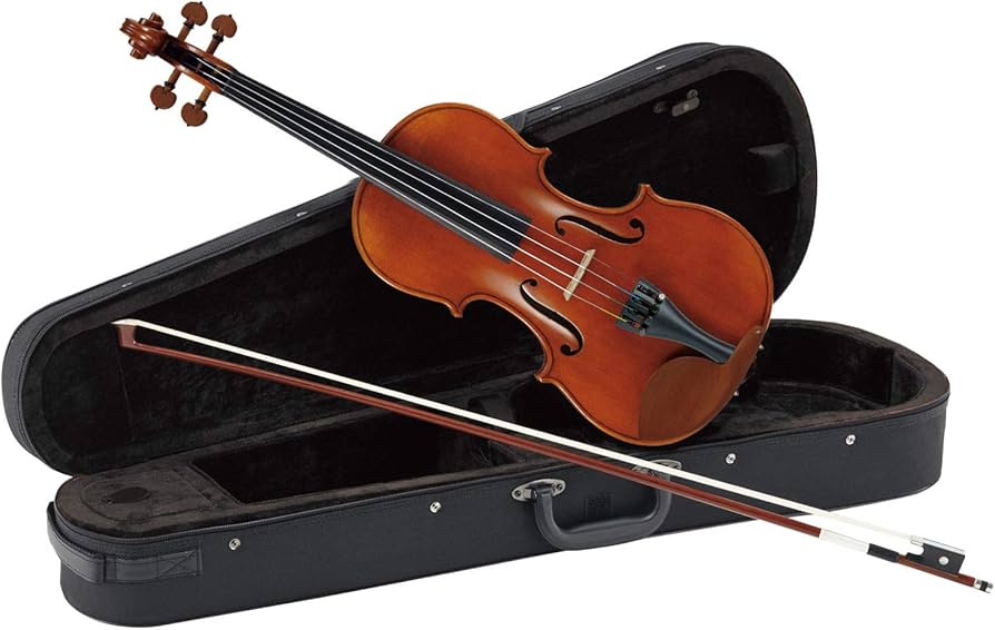 Amazon.co.jp: カルロジョルダーノ バイオリンアウトフィット VS-2 1/2