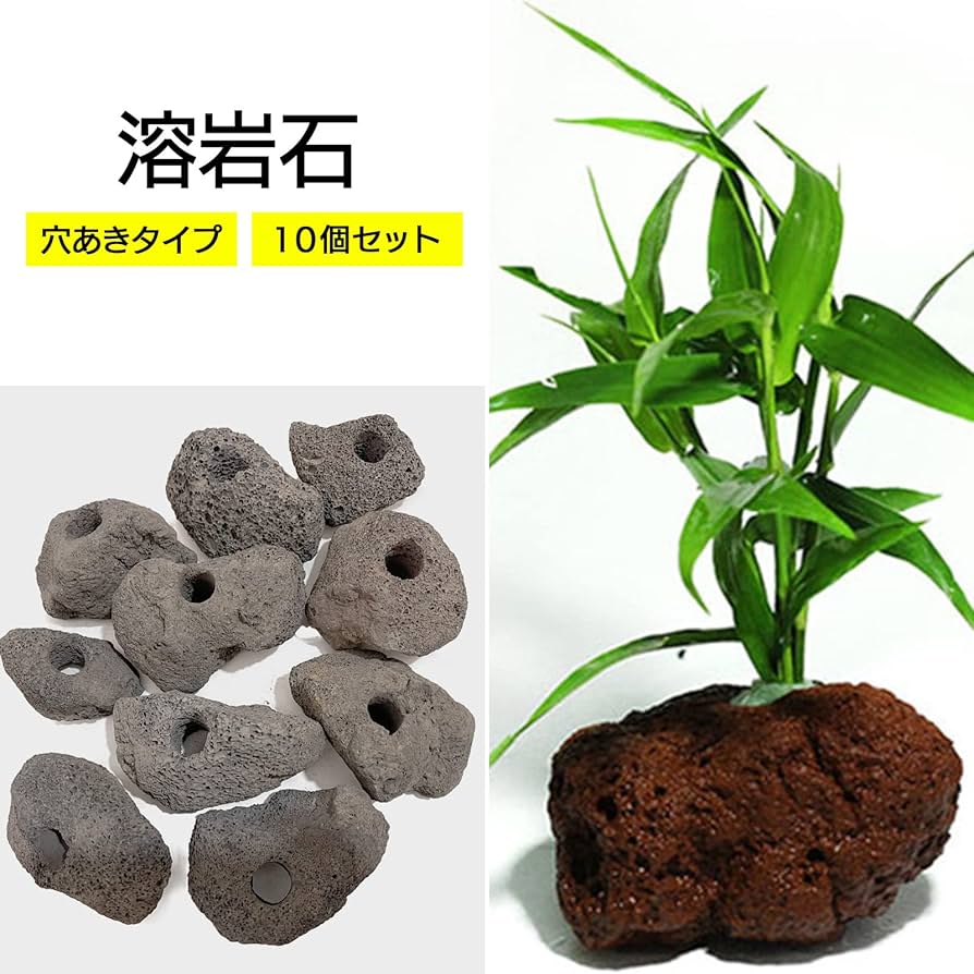 Amazon | モデルノ ラ テール 溶岩石 穴あき アクアリウム オブジェ