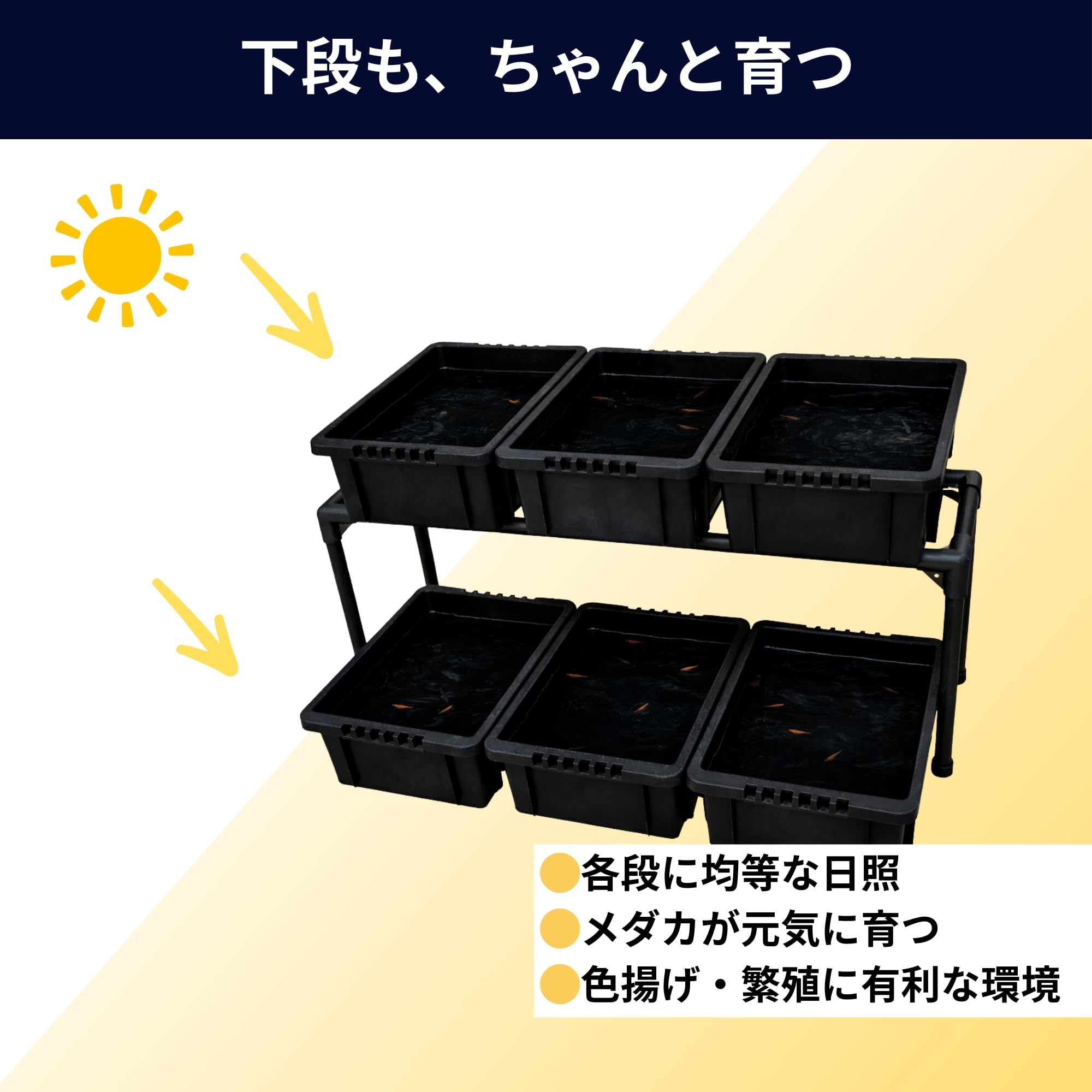 Amazon.co.jp: メダカ飼育ラック (NV BOX 13専用 1段タイプ) : ペット用品