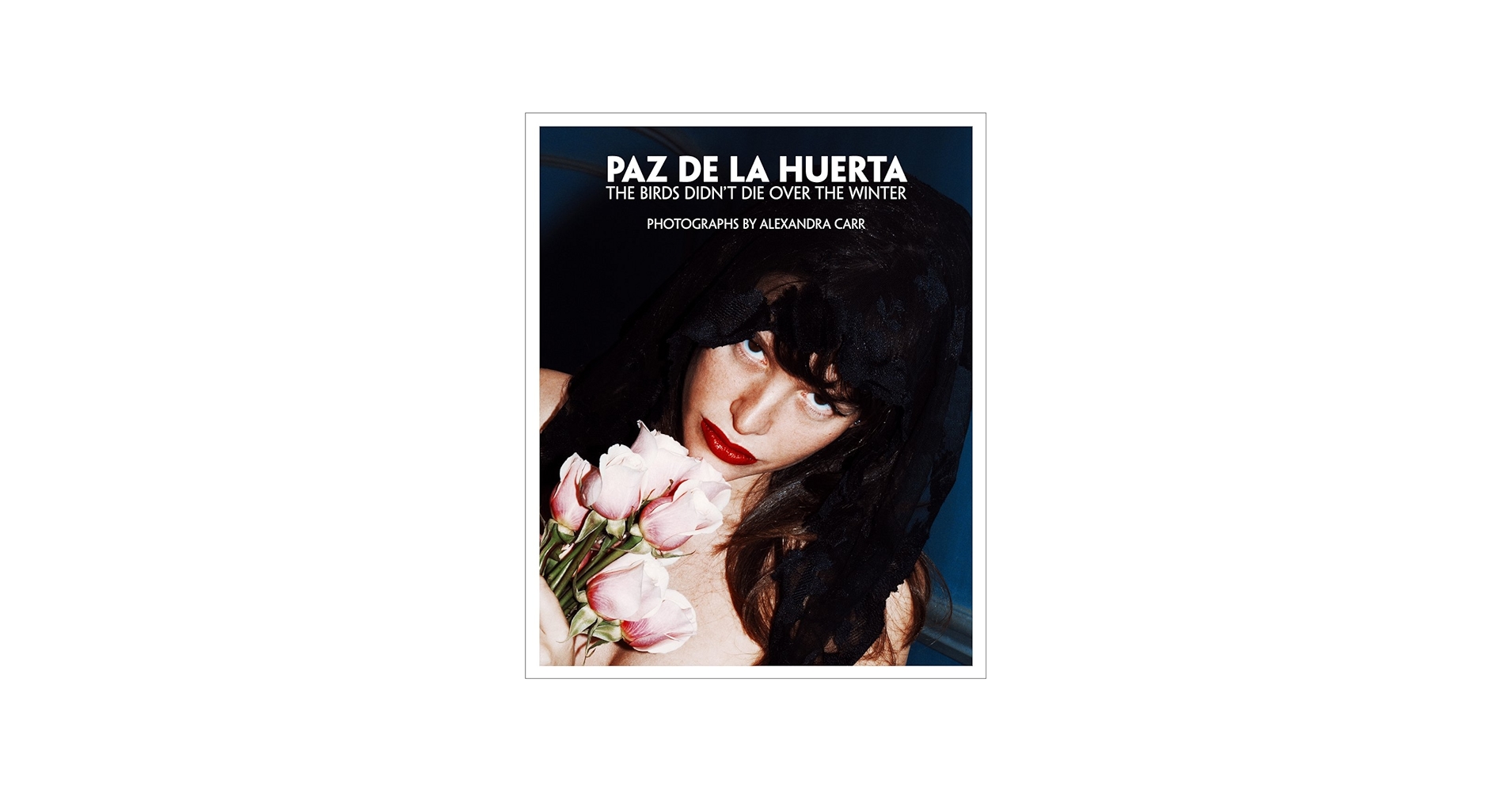 Paz de la Huerta: The Birds Didn't Die over the Winter