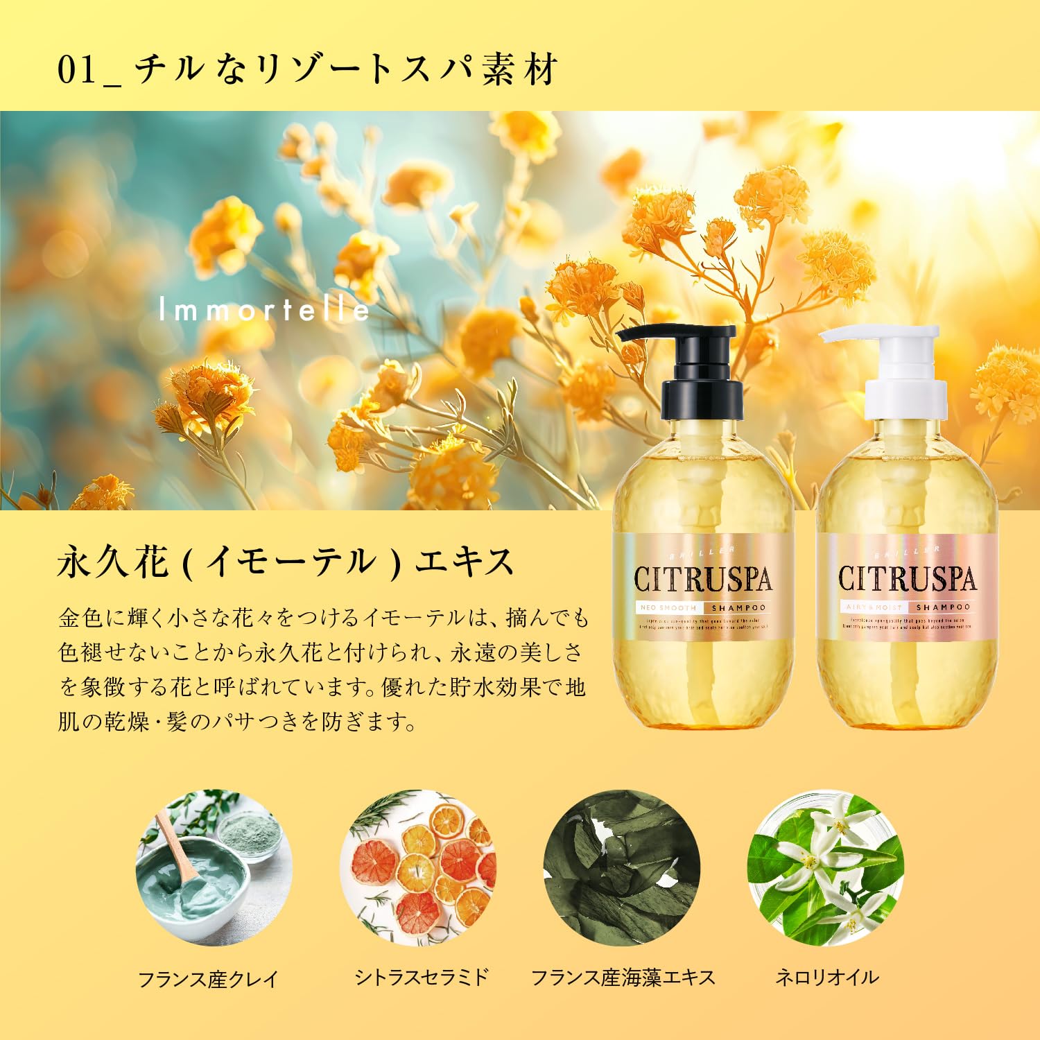 Amazon | 【公式】 シトラスパ ネオスムース シャンプー 詰替 レフィル