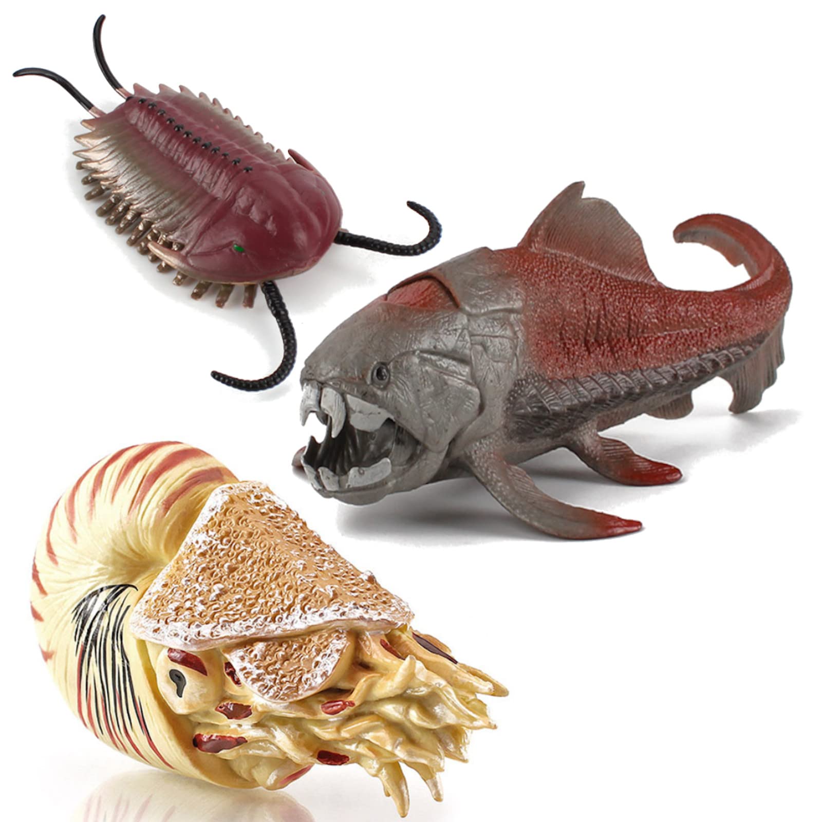 Amazon.co.jp: UTST オウムガイ フィギュア アンモナイト オウムガイ