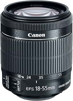 Amazon.com : Canon EF-S 18-55mm f/3.5-5.6 is STM Camera Lens