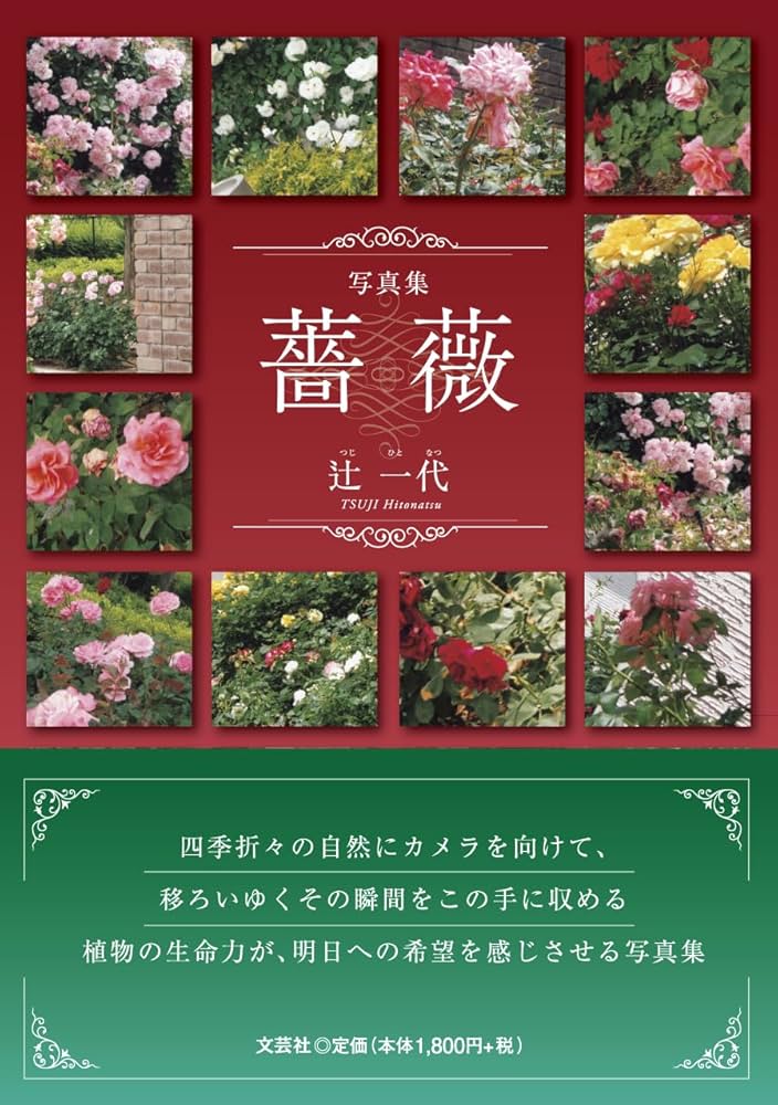 写真集 薔薇 | 辻 一代 |本 | 通販 | Amazon