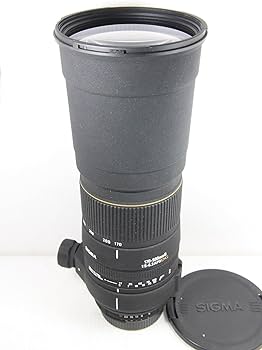 Amazon.co.jp: シグマ 170-500mm F5-6.3 APO DG ニコン用 : 家電＆カメラ