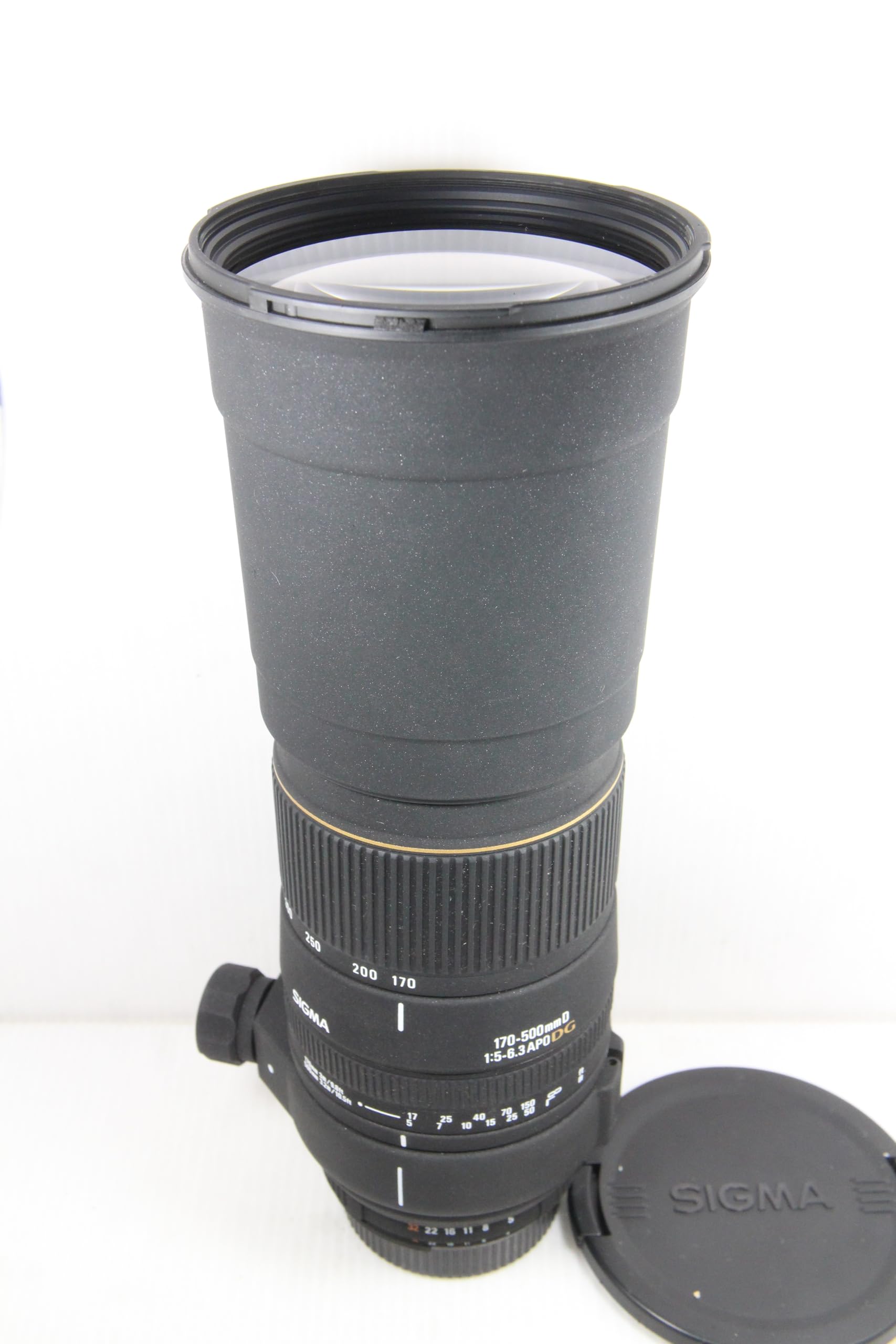 Amazon.co.jp: シグマ 170-500mm F5-6.3 APO DG ニコン用 : 家電＆カメラ