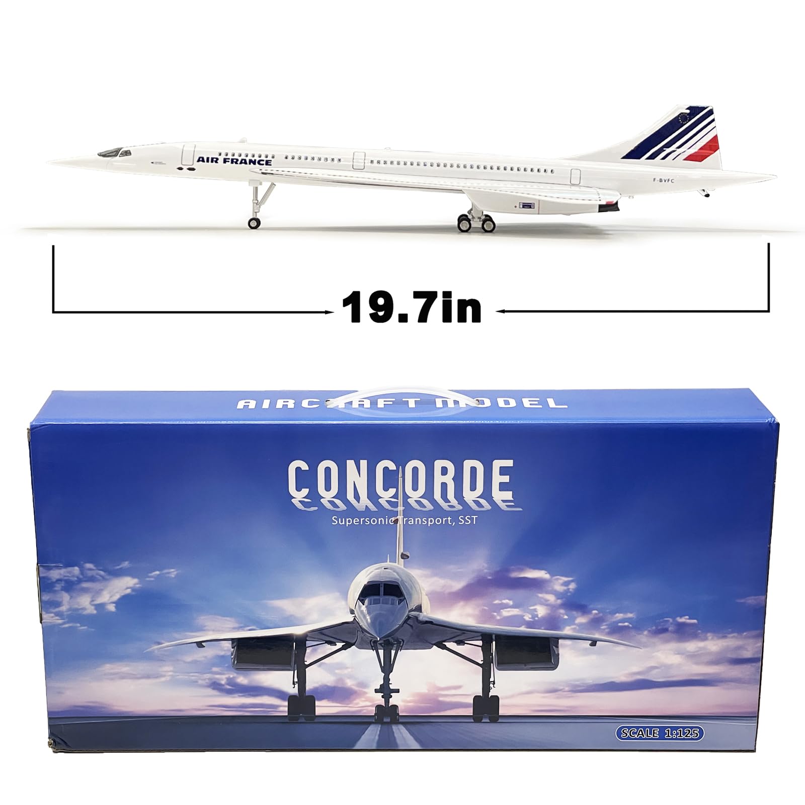 Amazon.com: Mahfisj 1/125 Scale Model Airplane - France Livery