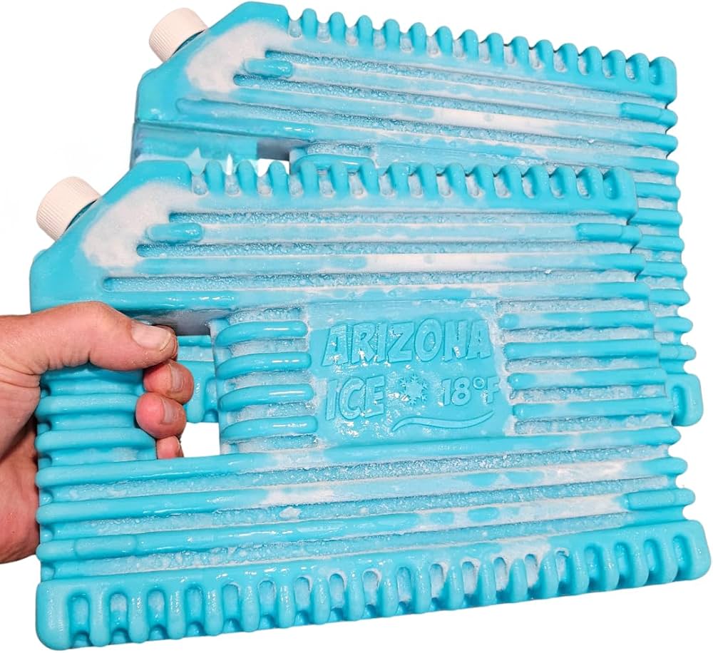 Amazon.com : Arizona Ice Large Industrial Ice Packs | Replaces