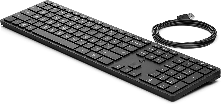 Amazon.com: HP Wired Desktop 320K keyboard : Electronics