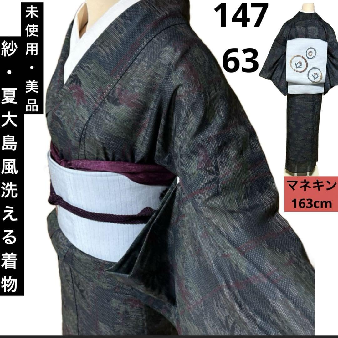 Amazon.co.jp: 紗 大島紬風 紗紬風 化繊 洗える着物 夏着物 身丈147 裄