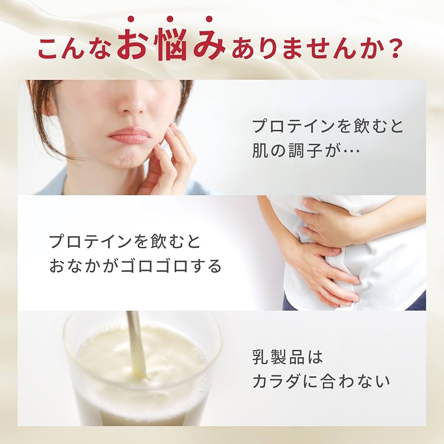 Amazon | WINZONE おなかにやさしいホエイプロテイン1㎏濃厚チョコ風味