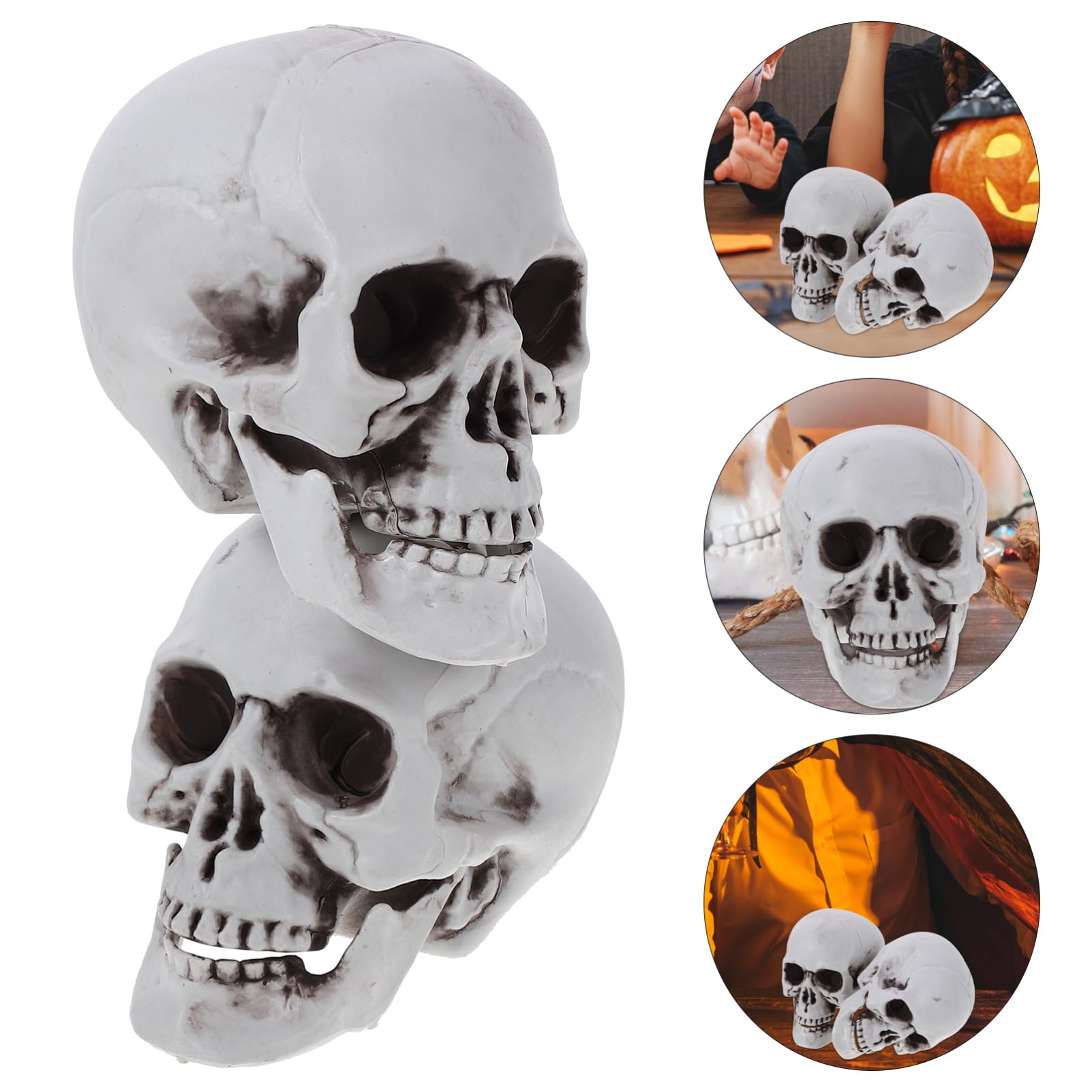 Amazon | STOBOK 頭骸骨 模型 ハロウィン スカル 髑髏 骸骨 ガイコツ