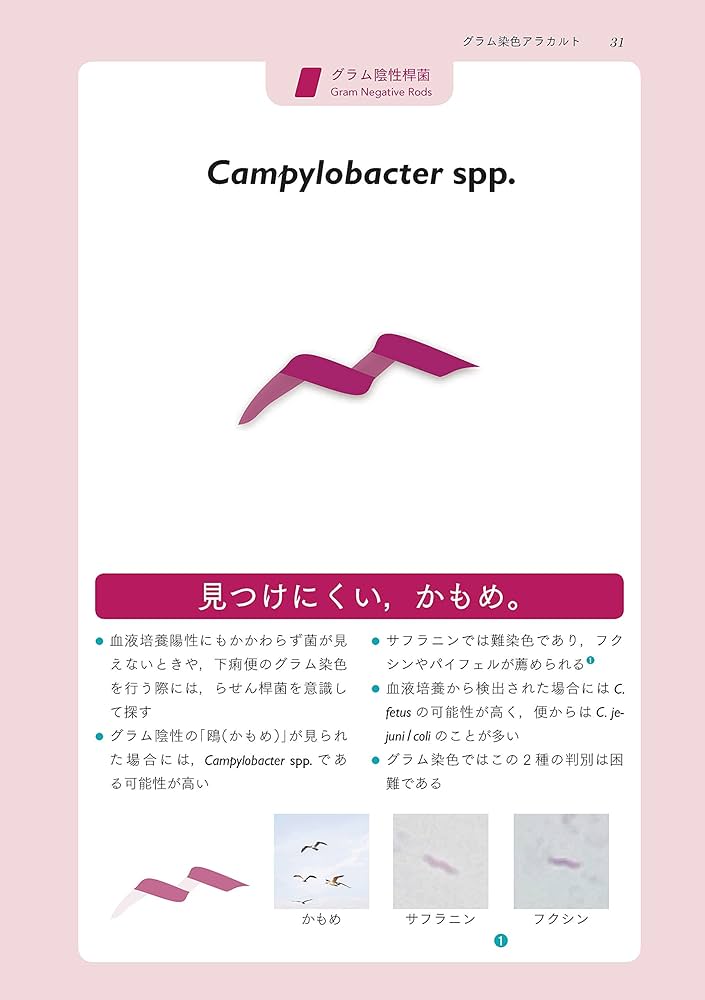 Amazon.co.jp: レジデントのための感染症診療マニュアル 第4版 : 青木