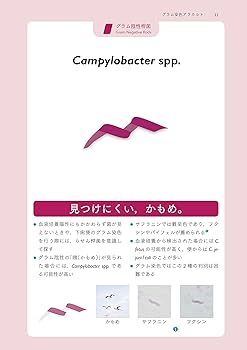 71Lun0TO5RL._AC_UF350,