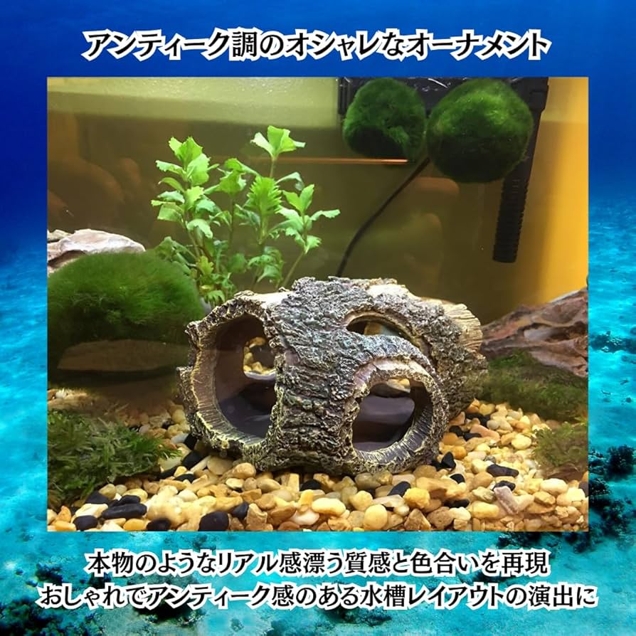 Amazon.co.jp: Charmoon 水槽 オブジェ 流木 隠れ家 シェルター
