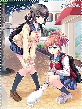 Amazon.co.jp: 放課後シンデレラ 完全生産限定版 - Switch (【特典