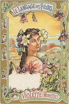 71MPcD0Yx4L._AC_UF350,