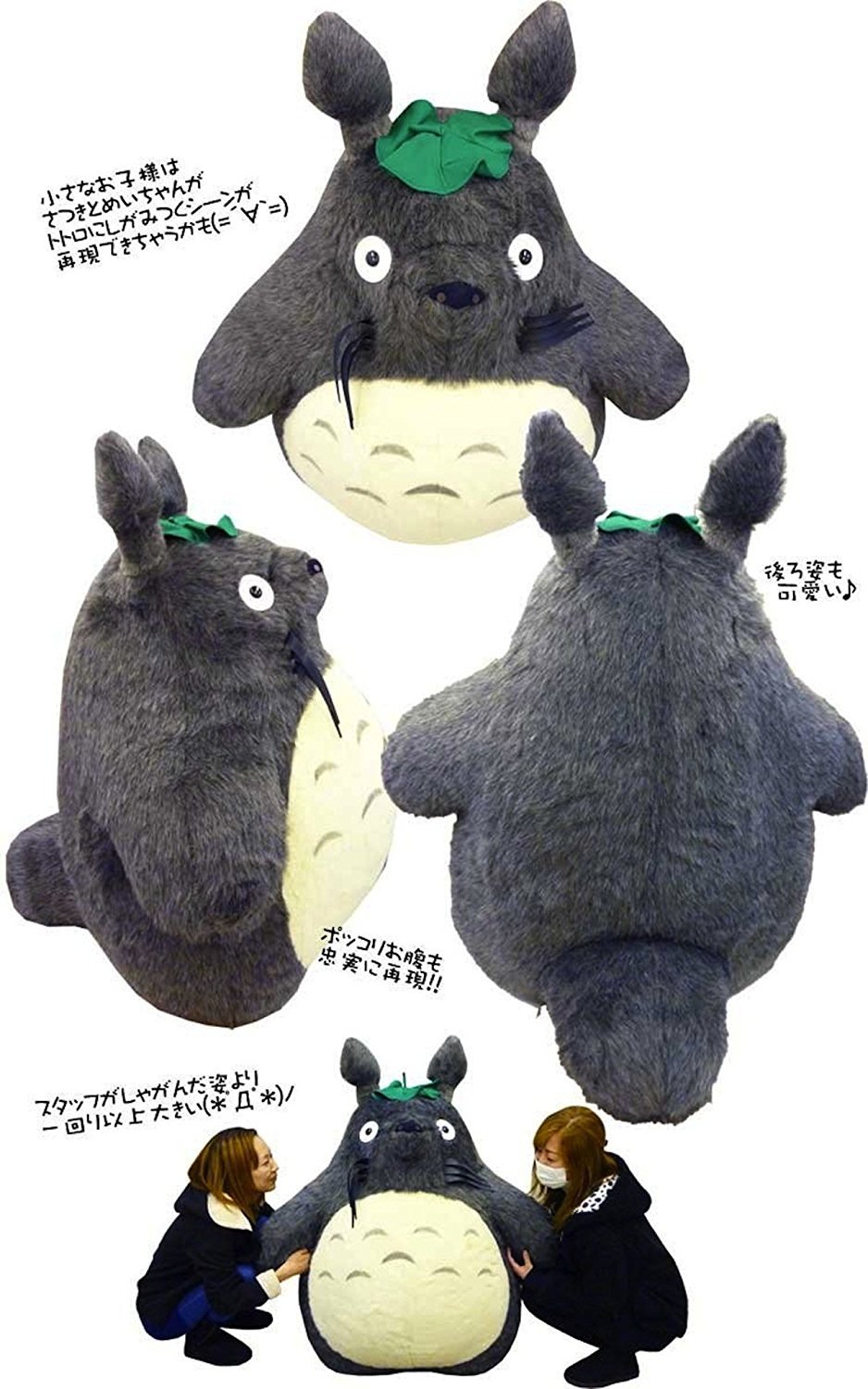 Amazon.co.jp: ｽﾀｼﾞｵｼﾞﾌﾞﾘ となりのﾄﾄﾛ 大ﾄﾄﾛ 特大 ぬいぐるみ 高さ