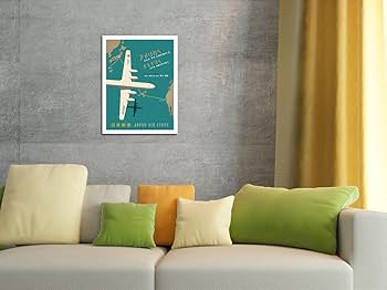 Amazon.com: Fly to America and Okinawa - Deluxe DC-6B - Japan