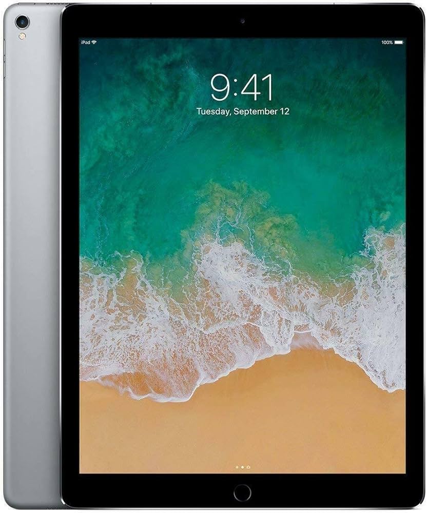 Amazon.com : APPLE MP6G2LL/A iPad Pro with Wi-Fi 256GB, 12.9in