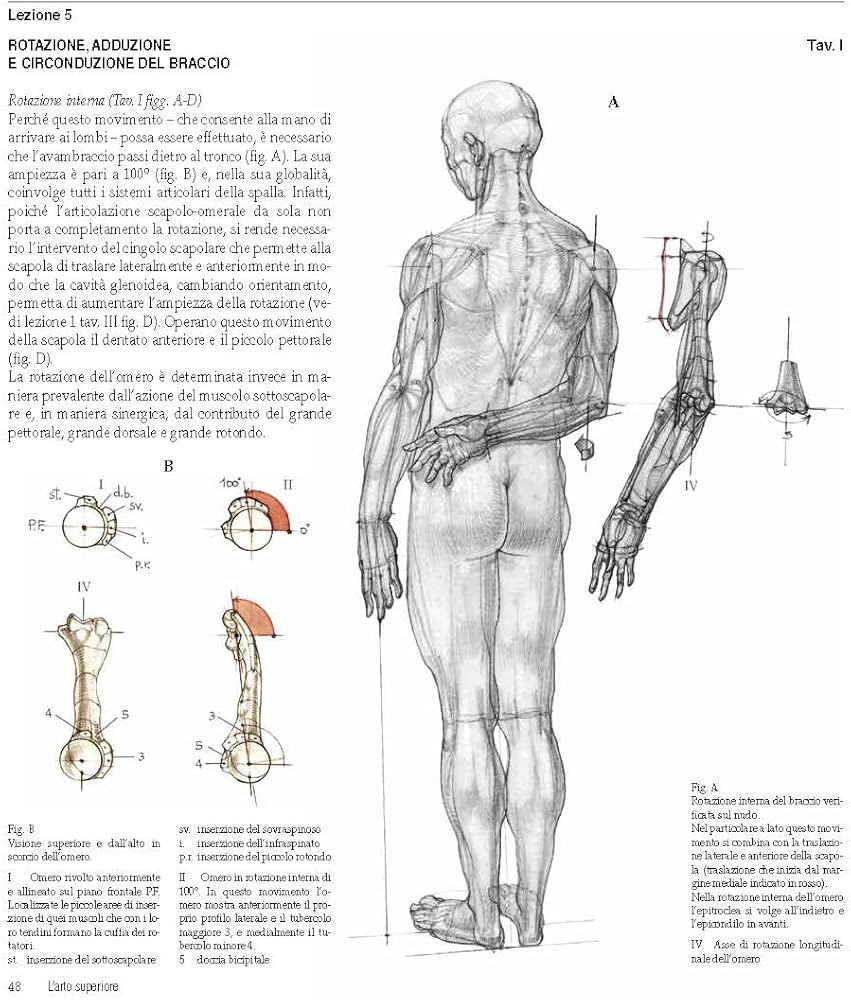 アート・デザイン・音楽 Struttura uomo in movimento Amazon