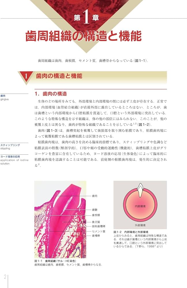 Amazon.co.jp: 決定版 治癒の病理: 臨床の疑問に基礎が答える : 下野