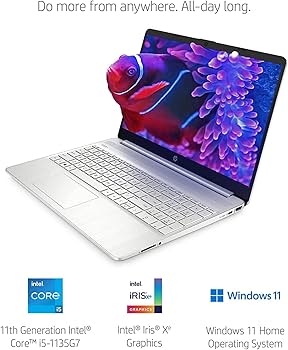 Amazon.com: HP 15.6