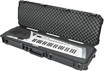Amazon.com: SKB iSeries Roland AX Edge Keytar Hard Case