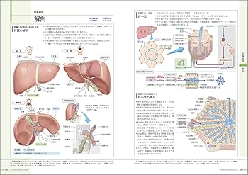 病気がみえる vol.1 消化器 第6版 | 医療情報科学研究所 |本 | 通販